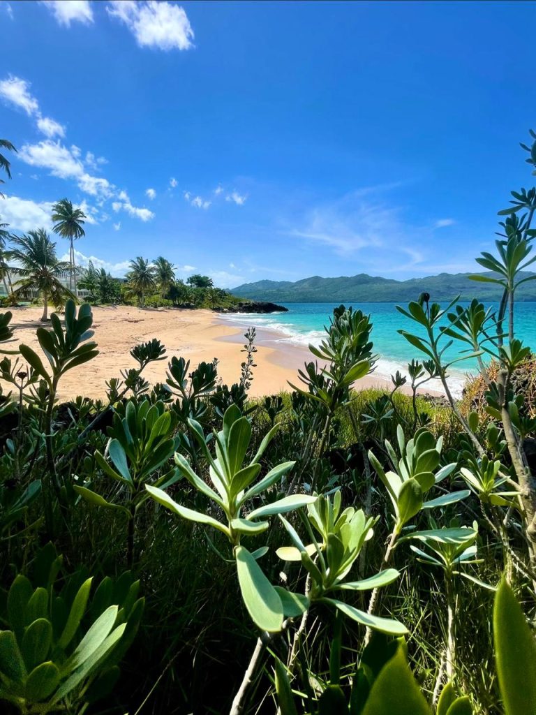 Progress isn’t linear and last year proved it